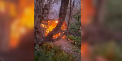 Wildfires (Nature Reserve)